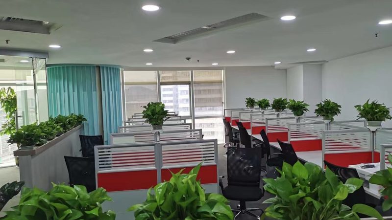 ISO14001认证咨询机构排名：揭秘绿色发展的护航者